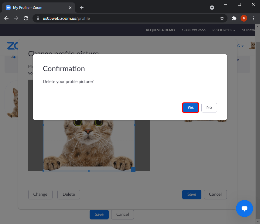 Comment supprimer une photo de profil Zoom 14 6 662d106c79efcd Comment supprimer une photo de profil Zoom