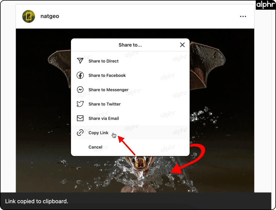 62546cf193616 طريقة البحث عن عنوان URL أو رابط حساب انستقرام