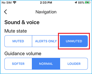 Unmute Google Maps on آيفون