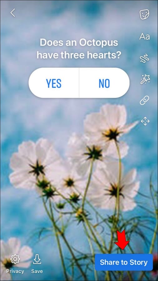 6292ad7c6c7ef طريقة إنشاء قصة على فيسبوك على الكمبيوتر أو آيفون أو أندرويد