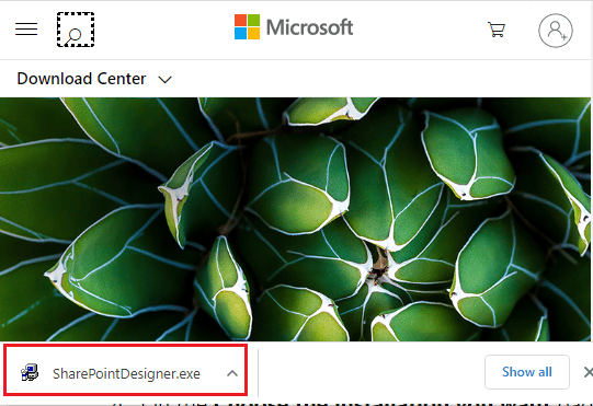 طريقة تنزيل برنامج مايكروسوفت أوفيس Picture Manager 25 قم بتشغيل الملف القابل للتنفيذ