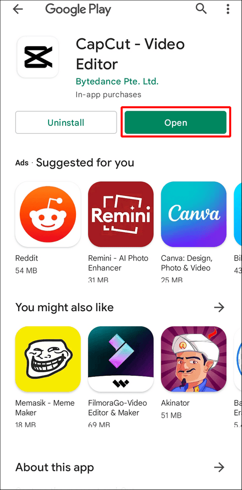 62e7d34149c7a كيفية إضافة ضبابية إلى صورة أو مقطع فيديو في CapCut