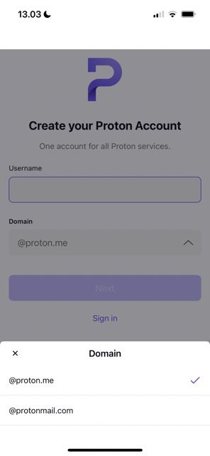 لقطة شاشة توضح كيفية اختيار مجال على ProtonMail