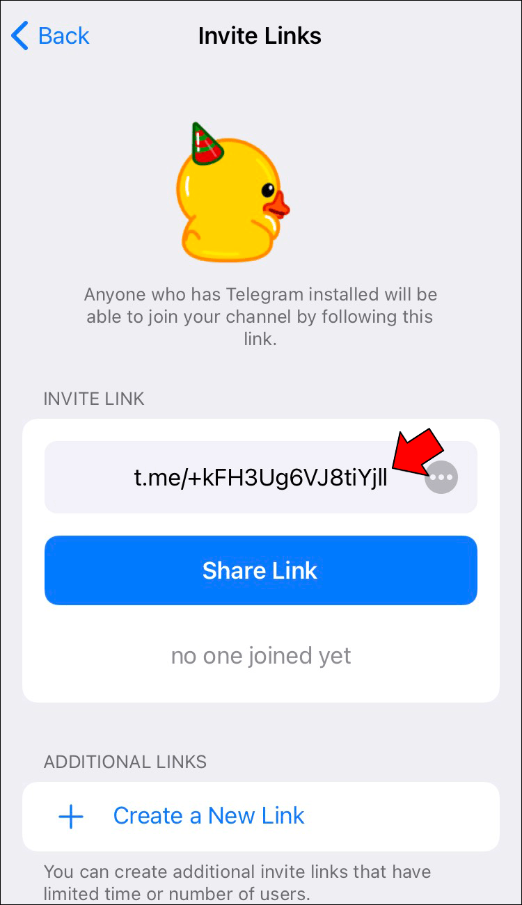 How to Create a Link in Telegram on an iPhone 13 1 Comment créer un lien vers un groupe dans Telegram ?