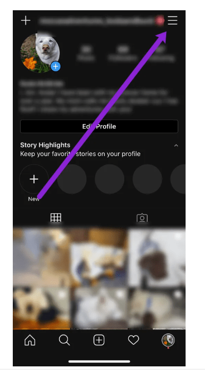 Instagram Profile Screen
