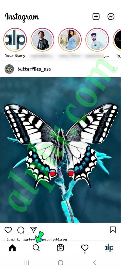 Comment supprimer les suggestions sur Instagram 29 Screenshot 20211123 234503 Instagram 1 1 Comment supprimer les suggestions sur Instagram