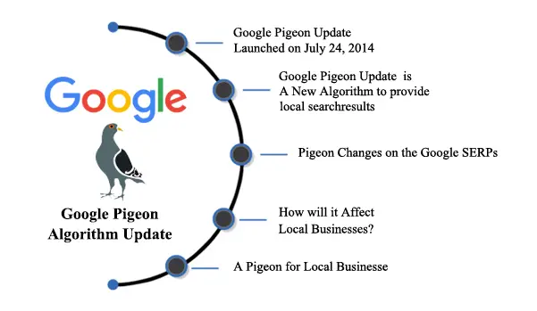 The Pigeon Update