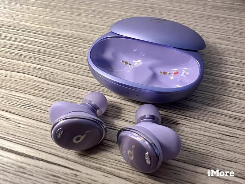 Anker Soundcore Liberty 3 Pro Dusk Purple Earbuds Case Close Up
