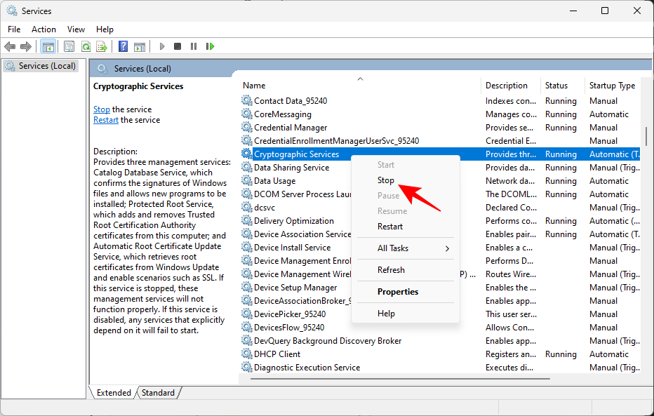 download error win 11 18 7 طرق لإصلاح "خطأ التنزيل 0x80248007" على نظام التشغيل ويندوز [دليل خطوة بخطوة]