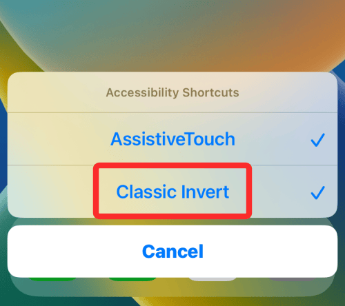 invert a picture on iphone 17 a 1 iPhone'da Bir Resmi Geçici veya Kalıcı Olarak Renk Tersine Çevirme