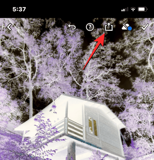 invert a picture on iphone 53 a 1 iPhone'da Bir Resmi Geçici veya Kalıcı Olarak Renk Tersine Çevirme