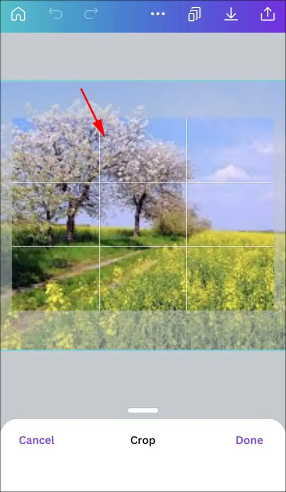 Cropping an Image 3 كيفية ملء خلفية تصميم بصورة في Canva