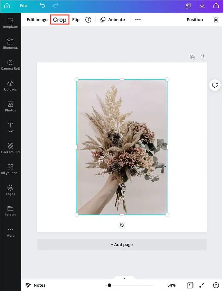 How to Fill a Shape With an Image in Canva on an iPad 1 كيفية ملء خلفية تصميم بصورة في Canva
