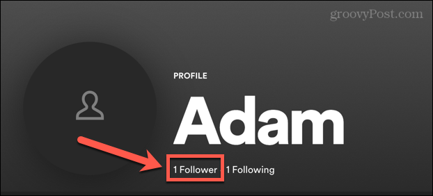 spotify followers