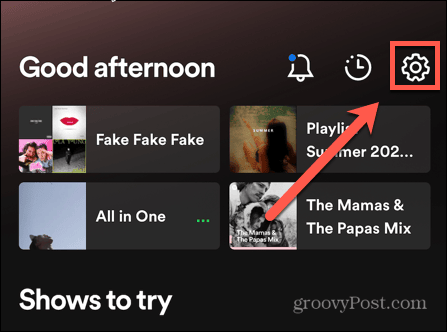 spotify mobile settings