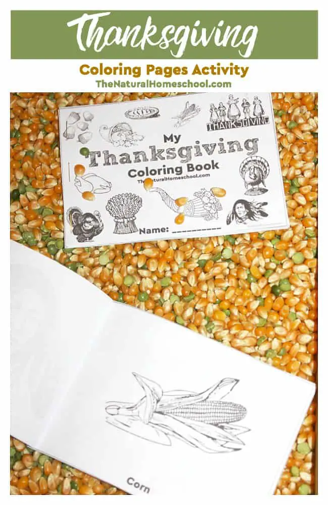 thanksgiving coloring pages activity main صناعة ديك رومي كرتون