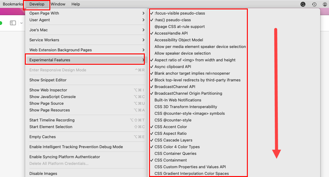 How to access Safari Experimental Features on macOS