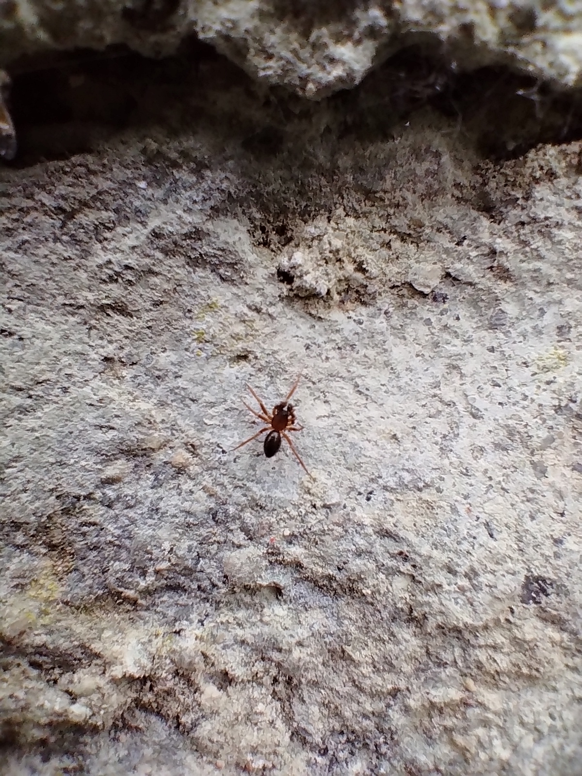 Motorola Moto G53 Review: Affordable 5G with some compromises 33 Macro Moto G53