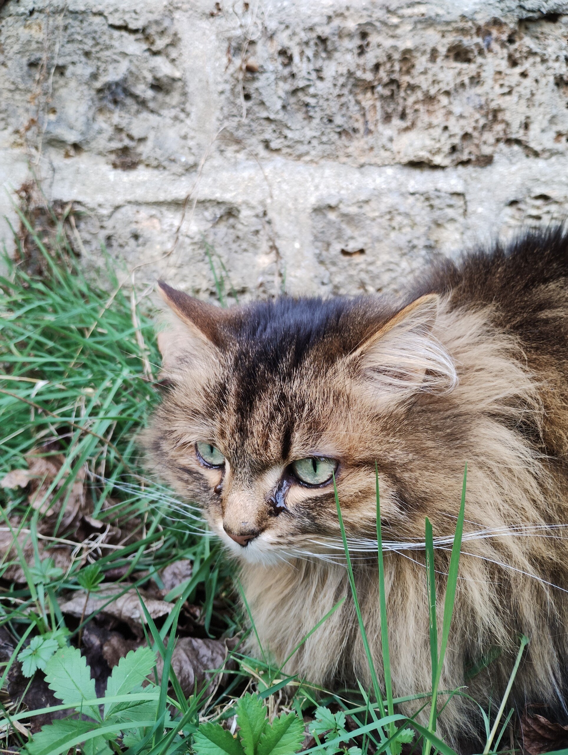 Motorola Moto G53 Review: Affordable 5G with some compromises 30 motorola g53 capteur principal 3 scaled.jpg6433605fa66d5 Motorola Moto G53 Review: Affordable 5G with some compromises